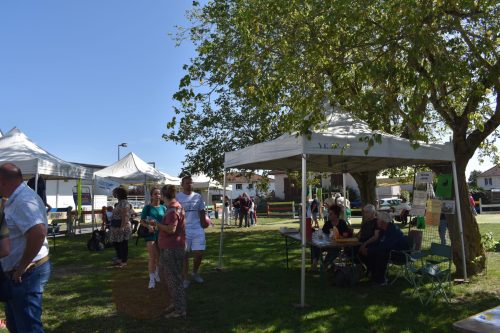 19-Culture et sports en fête 05.09